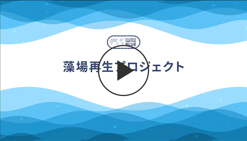 藻場再生プロジェクトとは